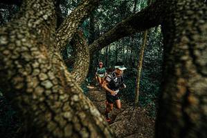 BIB: 
                            <button type="button" onclick="openModal(25670276)" class="btn btn-primary btn-sm float-right btn-popup" data-toggle="modal" data-target=".modal-high-quality">
                        <i class="fas fa-shopping-cart"></i> Add to Cart
                    </button>
                                            <button type="button" onclick="isThisMe(25670276, true)" class="btn btn-success btn-sm float-right btn-popup btn-isme hidden" data-toggle="tooltip" data-placement="bottom" title="นี่คือรูปของคุณใช่ไหม คลิกที่นี่เพื่อเอาเข้าอัลบั้ม">
                        <i class="fas fa-plus"></i> Add to album
                    </button>
                    <button type="button" onclick="isThisMe(25670276, false)" class="btn btn-warning btn-sm float-right btn-popup btn-isnotme hidden">
                        <i class="fas fa-ban"></i> Remove from album
                    </button>